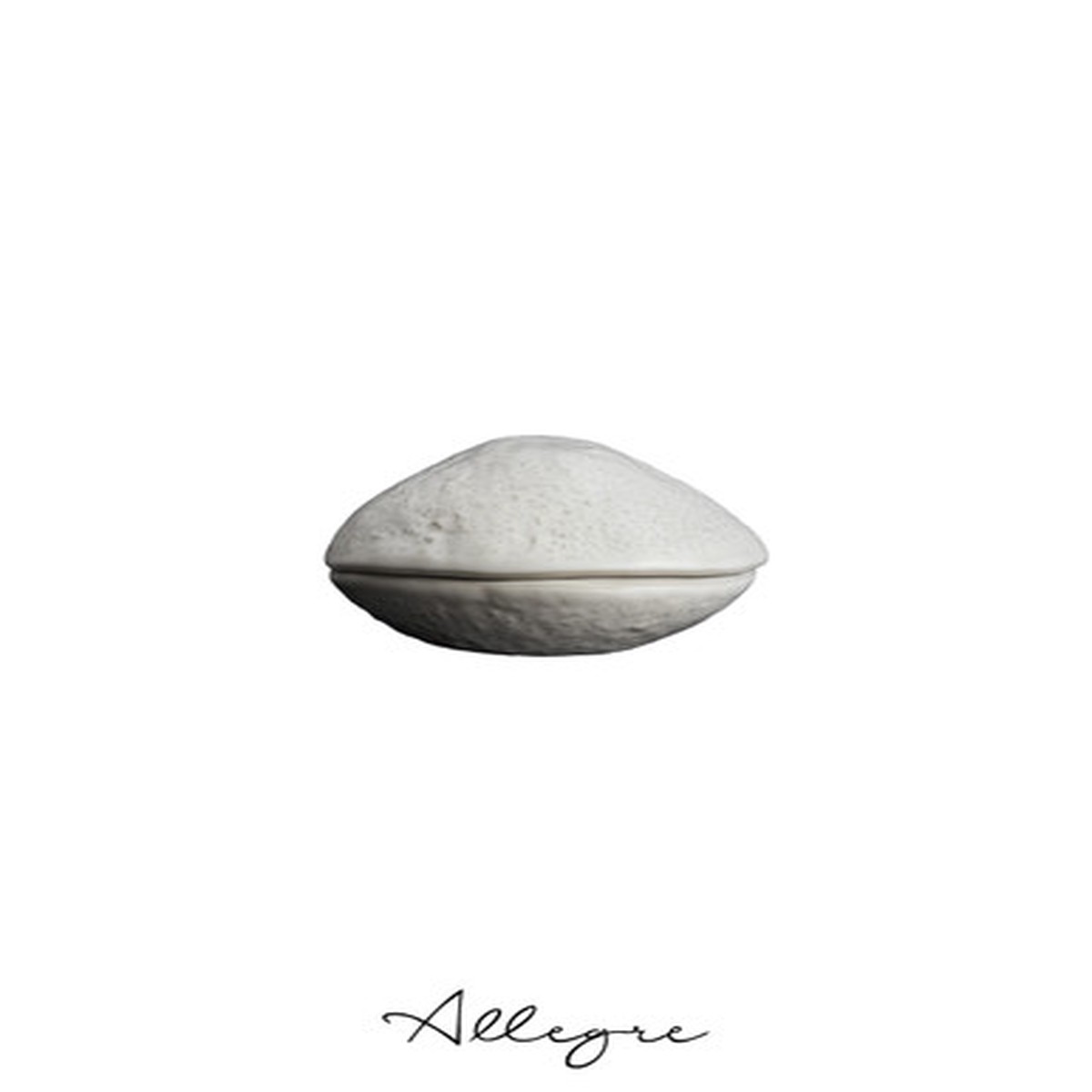 102 ml Shell Dish With Lid for 1 Person 5 in. - Artisan