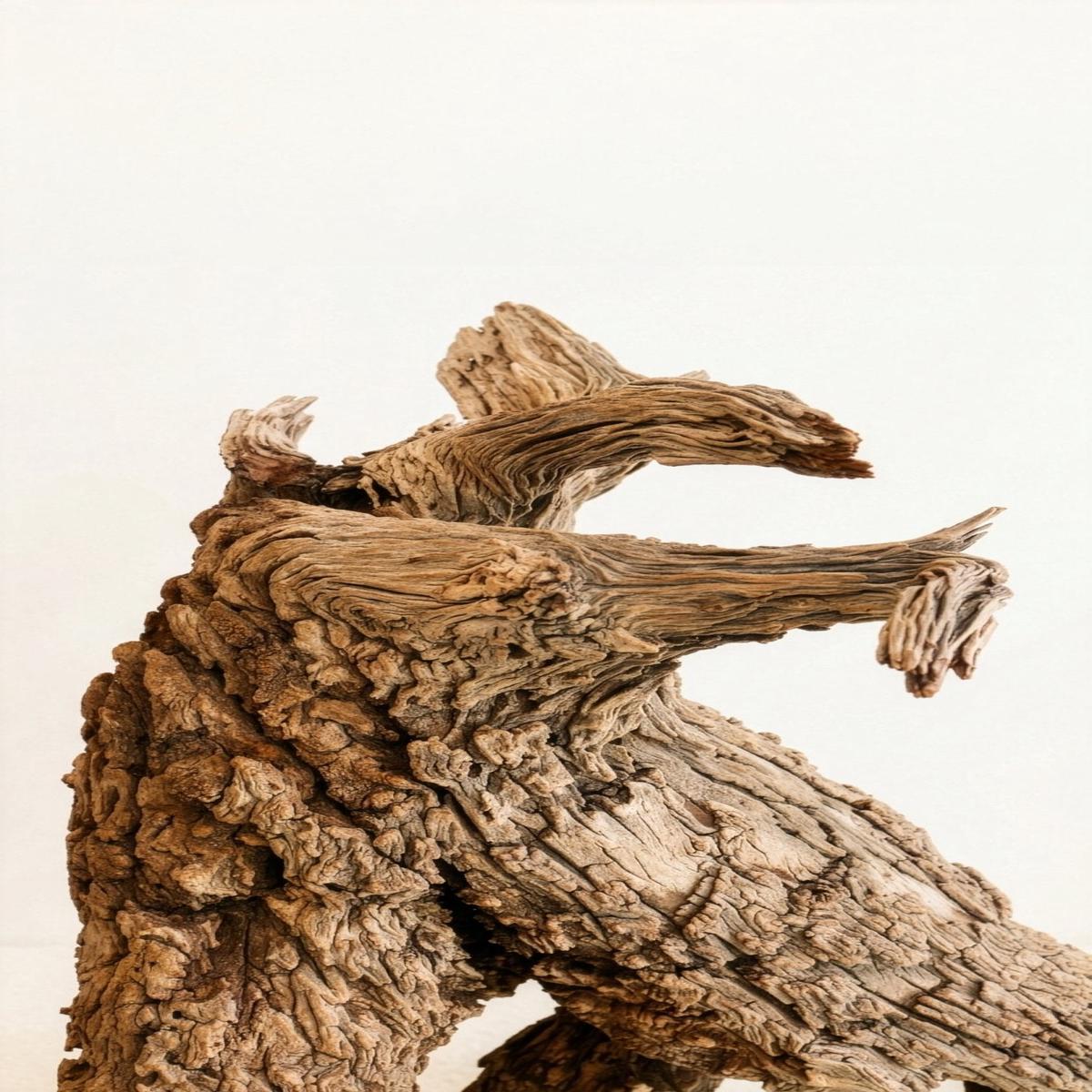 Antiques Found Objects The Root Sculpture
