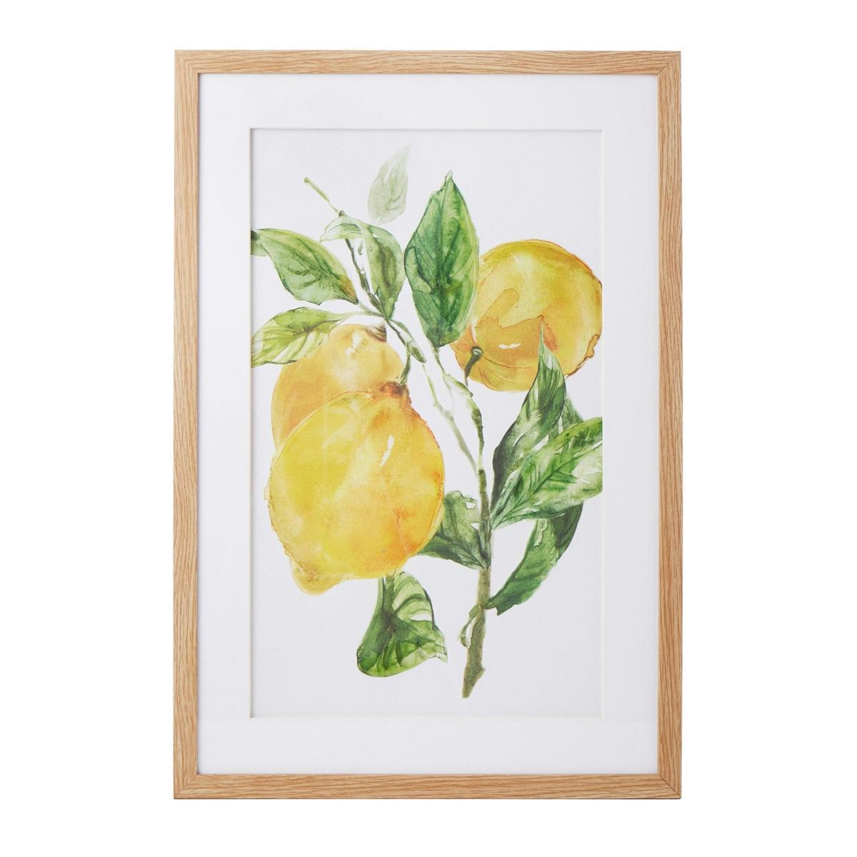 Amalfi Lemon Wall Dcor YellowGreen 40x60x3cm