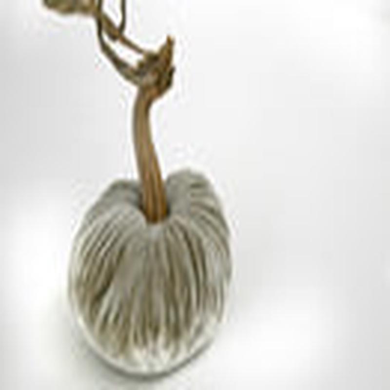 Putty Pumpkin 6"