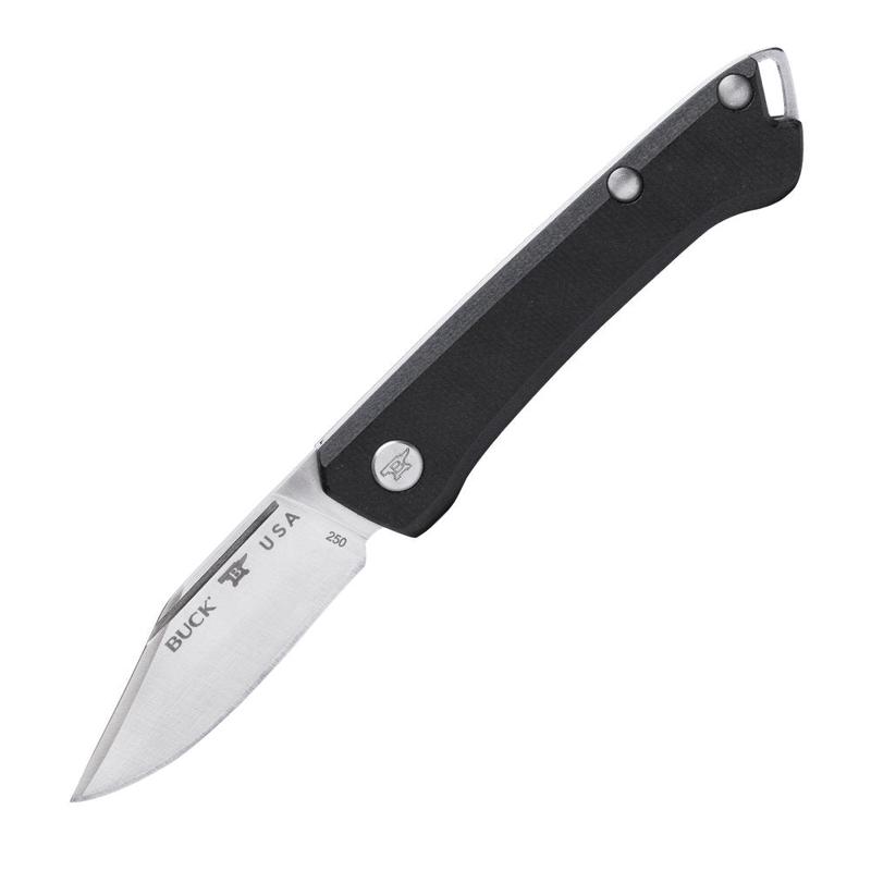 Buck 250 Saunter Clip Point Folding Knife
