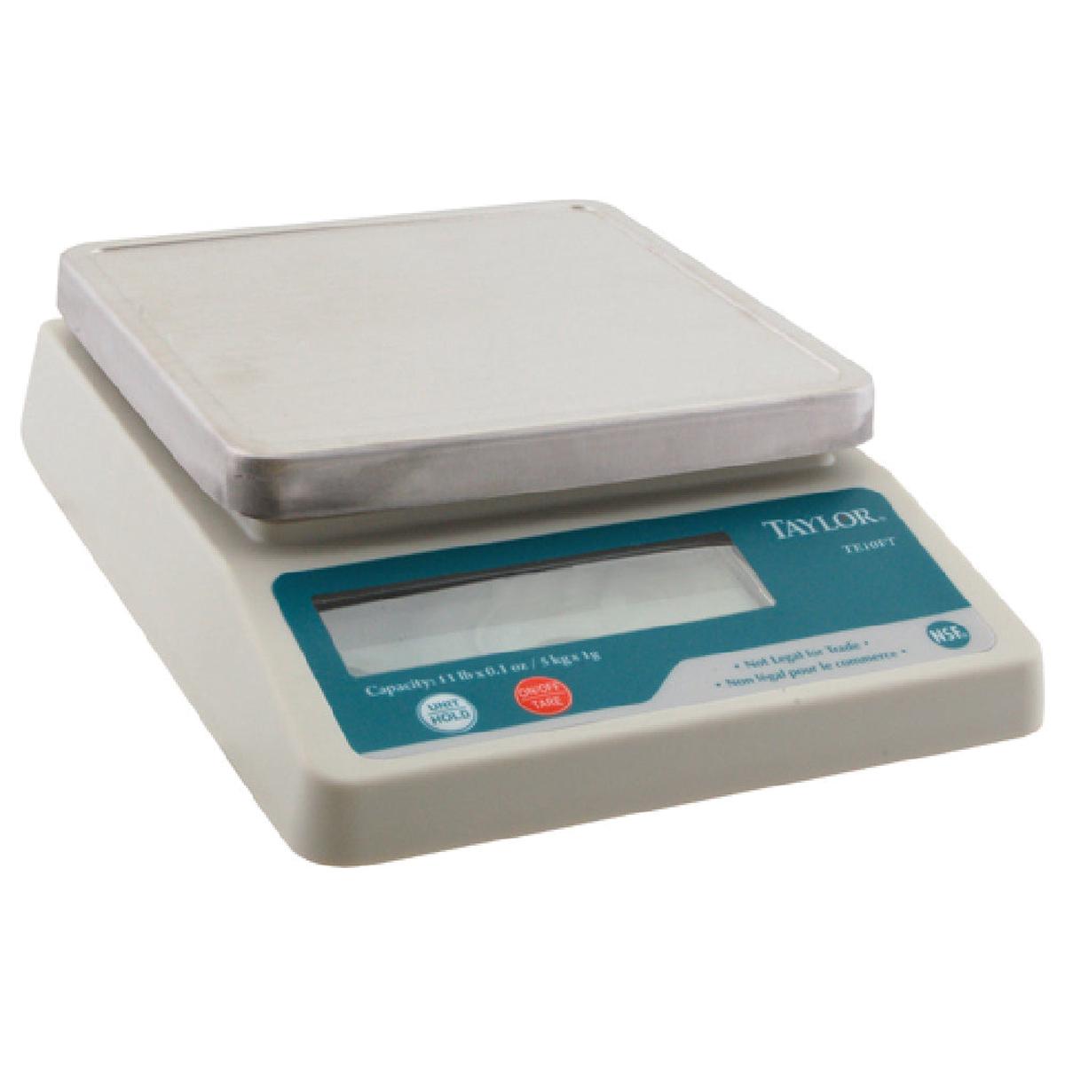 Taylor Thermometer TE10FT Scale Portion Digital