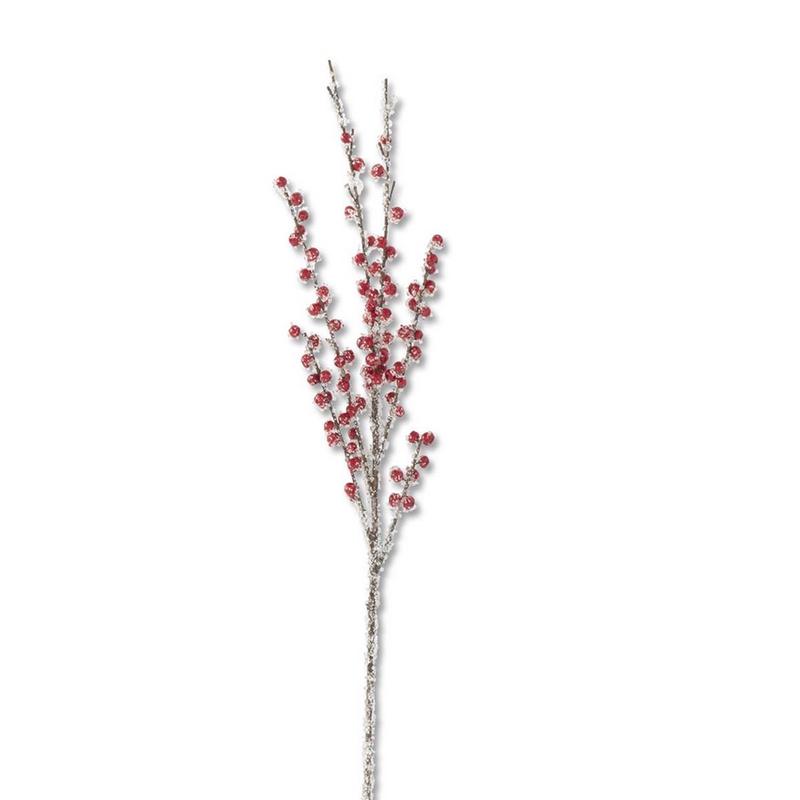 Crystal and Red Berry