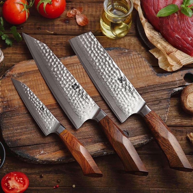 Xinzuo B32D 3 Pcs Knife Set Japan 49 Layers SRS13 FENG STRIA HAMMER Damascus Steel