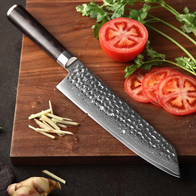 Xinzuo B1H 67 Layer Damascus Steel Gyuto Knife with Pakka Wood Handle